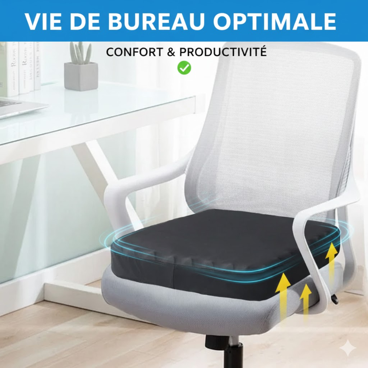 Coussin pour fessier douloureux pharmacie